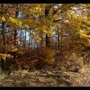 20141119_018